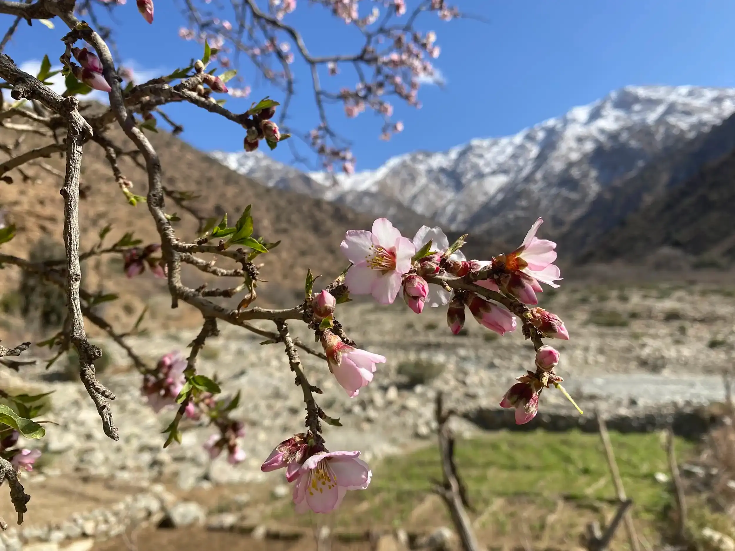 The Ourika Valley can also be authentic, a side you can discover during your stay in our guesthouse in Marrakech.